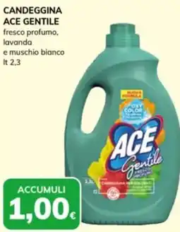 Basko Candeggina ace gentile fresco profumo. lavanda e muschio bianco offerta