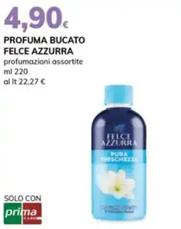 Basko Profuma bucato FELCE AZZURRA offerta