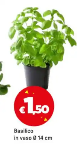 Iper La Grande Basilico in vaso Ø14 cm offerta