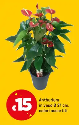 Iper La Grande Anthurium in vaso Ø 21 cm offerta