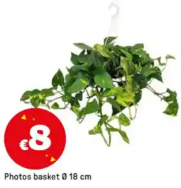 Iper La Grande Photos basket Ø18 cm offerta