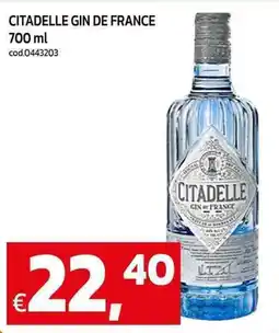 C+C maxigross Citadelle gin de france offerta