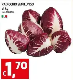 C+C maxigross Radicchio semilungo offerta