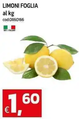 C+C maxigross Limoni foglia offerta