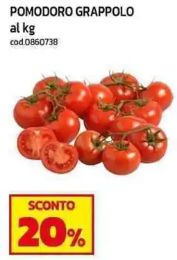 C+C maxigross Pomodoro grappolo offerta