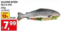C+C maxigross Salmone intero offerta