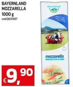 C+C maxigross Bayernland mozzarella offerta