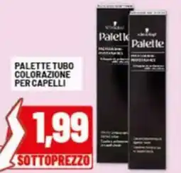 Risparmio Casa Palette tubo colorazione per capelli offerta