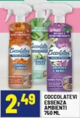 Risparmio Casa Coccolatevi essenza ambienti offerta