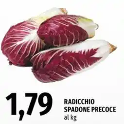 Famila Superstore Radicchio spadone precoce offerta