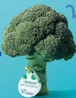 Famila Superstore Cime broccoli offerta