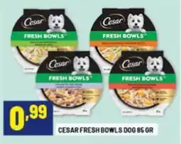 Risparmio Casa Cesar fresh bowls dog offerta