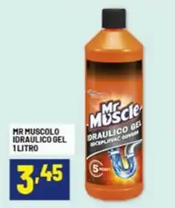 Risparmio Casa Mr muscolo idraulico gel offerta