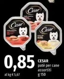 Famila Superstore CESAR patè per cane offerta