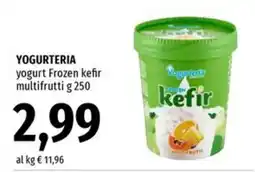 Famila Superstore YOGURTERIA yogurt Frozen kefir multifrutti offerta