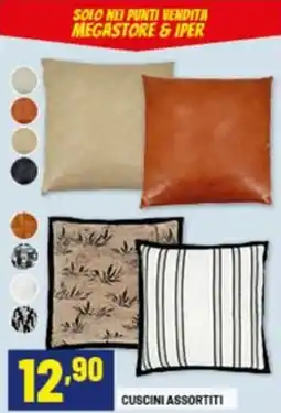 Risparmio Casa Cuscini offerta