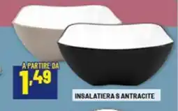 Risparmio Casa Insalatieras antracite offerta