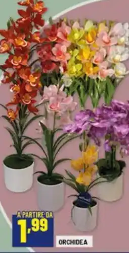 Risparmio Casa Orchidea offerta