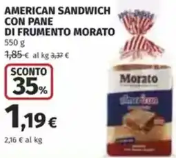 Coop American sandwich con pane di frumento MORATO offerta