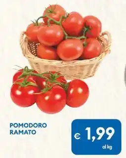 MD Discount Pomodoro ramato offerta