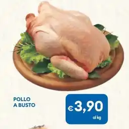 MD Discount Pollo a busto offerta