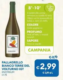 MD Discount Pallagrello bianco terre del volturno IGT ENOTRIUM offerta