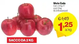 In'S Mercato Mele Gala offerta