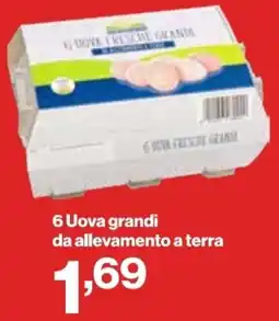 In'S Mercato 6 Uova grandi da allevamento a terra offerta