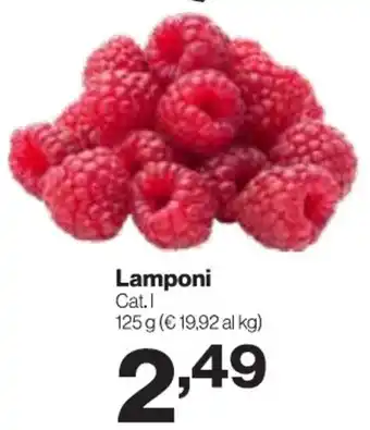 In'S Mercato Lamponi offerta