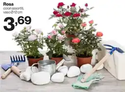 In'S Mercato Rosa offerta