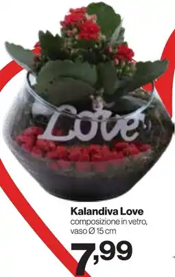 In'S Mercato Kalandiva Love offerta