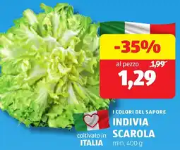 ALDI I colori del sapore indivia scarola offerta