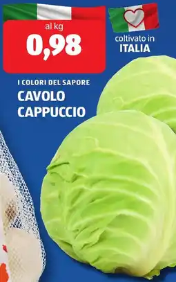 ALDI I colori del sapore cavolo cappuccio offerta