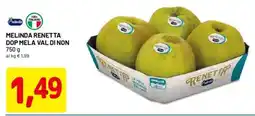DPiù Melinda renetta dop mela val di non offerta