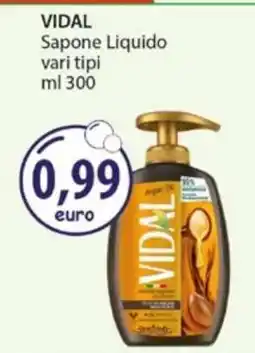 Acqua & Sapone VIDAL Sapone Liquido offerta