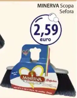 Acqua & Sapone MINERVA Scopa Sefora offerta