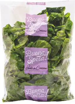 MD Discount SPINACI offerta