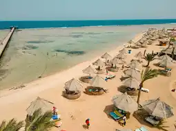 MD Discount MG ALEXANDER THE GREAT offerta