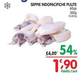D'Ambros Seppie indopacif 60up offerta