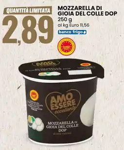 Eurospin Amo essere eccellente mozzarella di gioia del colle dop offerta