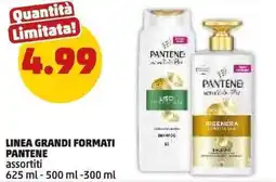PENNY Linea grandi formati PANTENE offerta