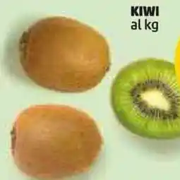 PENNY Kiwi offerta