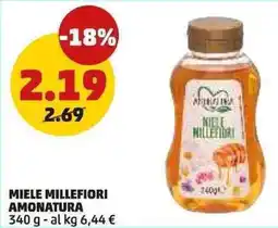 PENNY Miele millefiori AMONATURA offerta