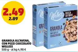 PENNY Granola all'avena, con pezzi cioccolato WELLESS offerta