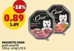 PENNY Vaschetta CESAR offerta