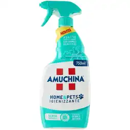 Spazio Conad DETERGENTE AMUCHINA offerta