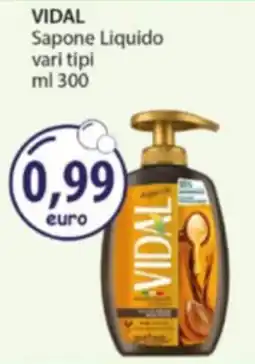 Acqua & Sapone VIDAL Sapone Liquido offerta