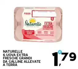 Extra Supermercati Naturelle 6 uova extra fresche grandi da galline allevate a terra offerta