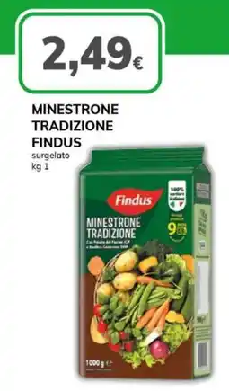 Basko Minestrone tradizione FINDUS offerta