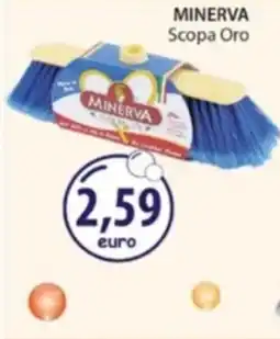 Acqua & Sapone MINERVA Scopa Oro offerta